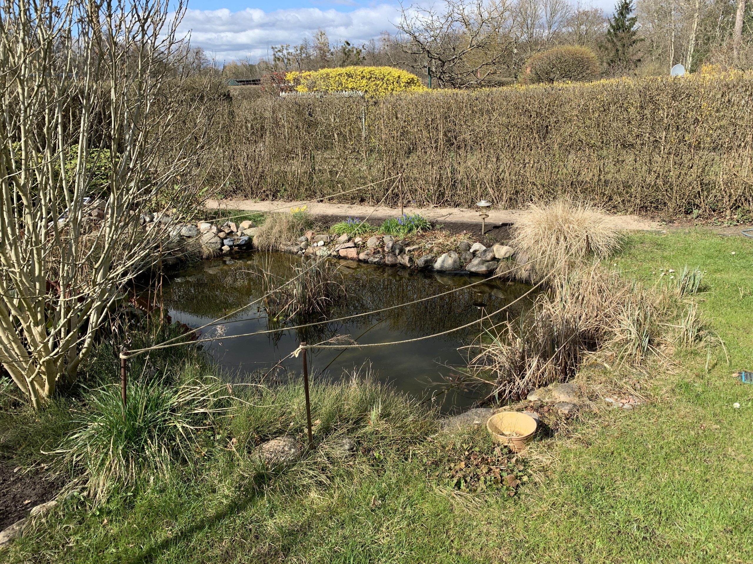 Randbeet am Gartenteich nach der Putzaktion