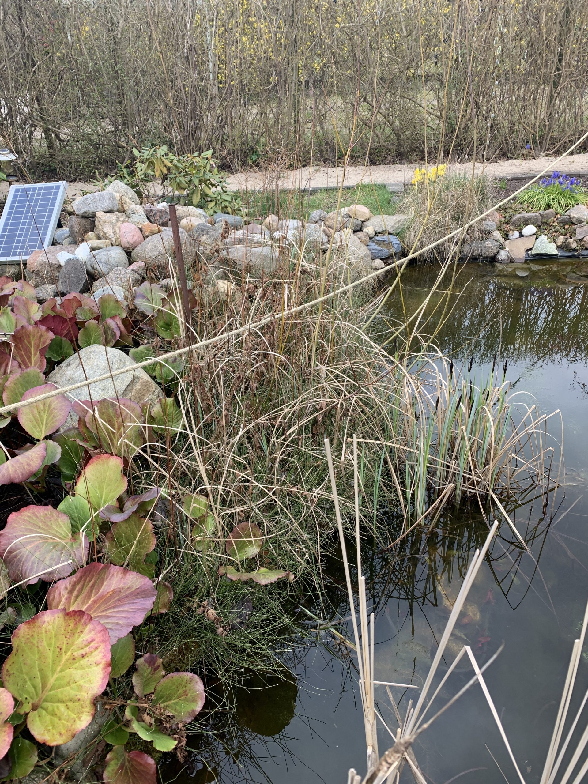 Ein Paradies für Tier - ohne Mensch