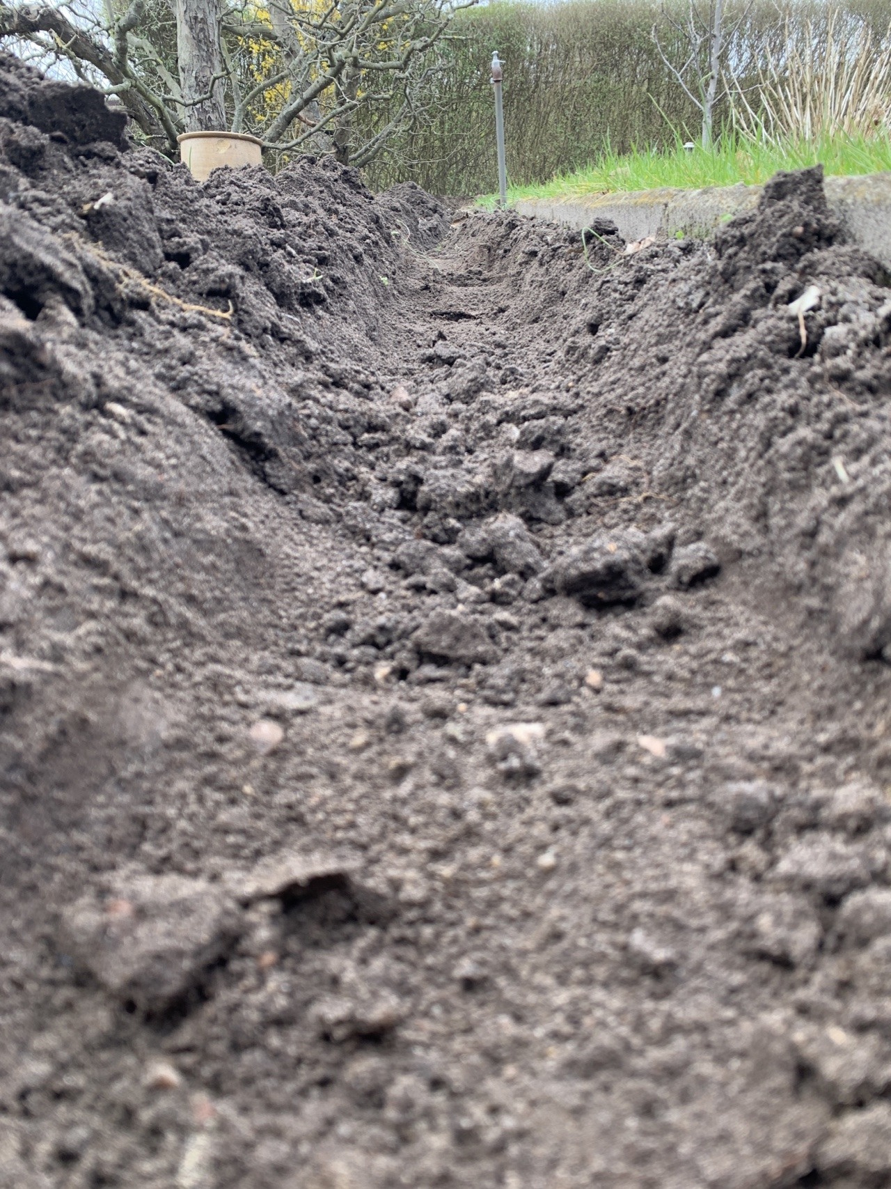 Graben aus der Regenwurmperspektive