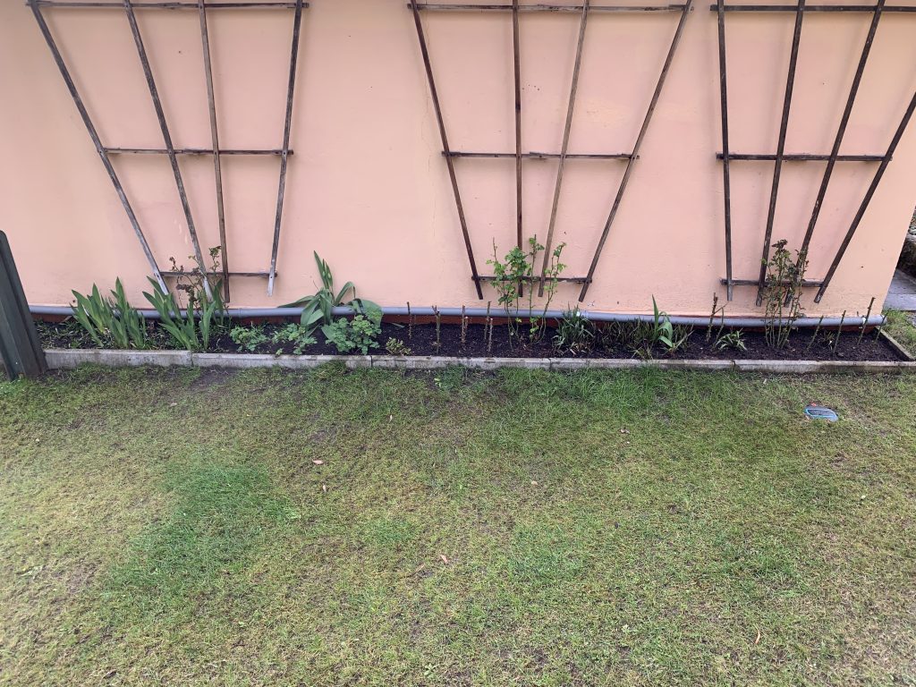 Neu gestaltetes Bungalow-Randbeet