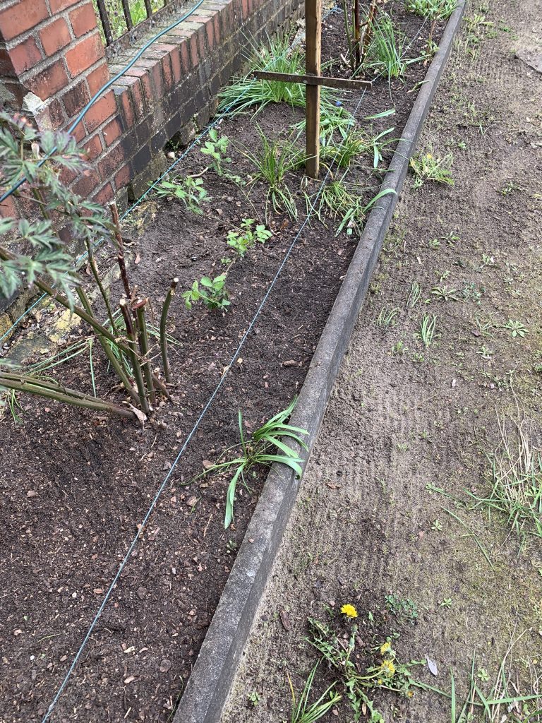 Das Randbeet ist nun bereit für das große Finale