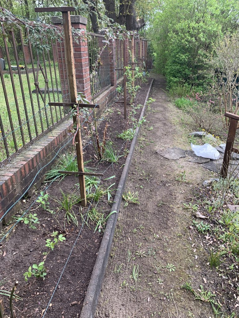 Stundenlang wurde gewühlt, gezupft und geharkt.