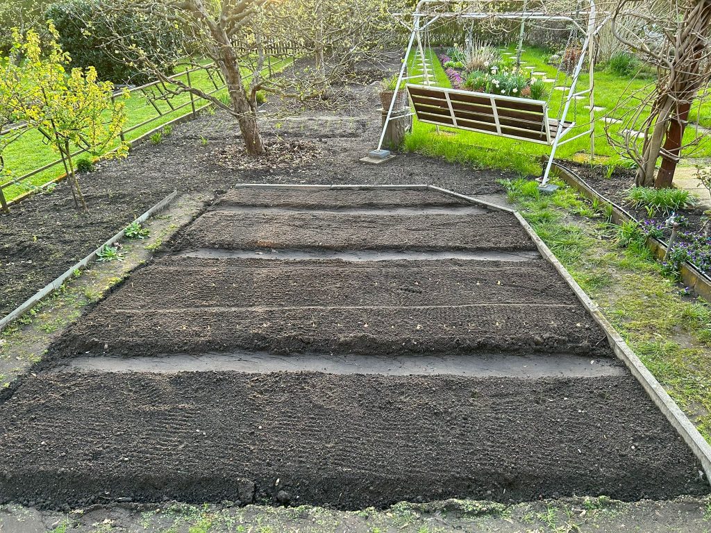 Fertiges Gemüsebeet vor dem Gewächshaus - aus einer anderen Perspektive