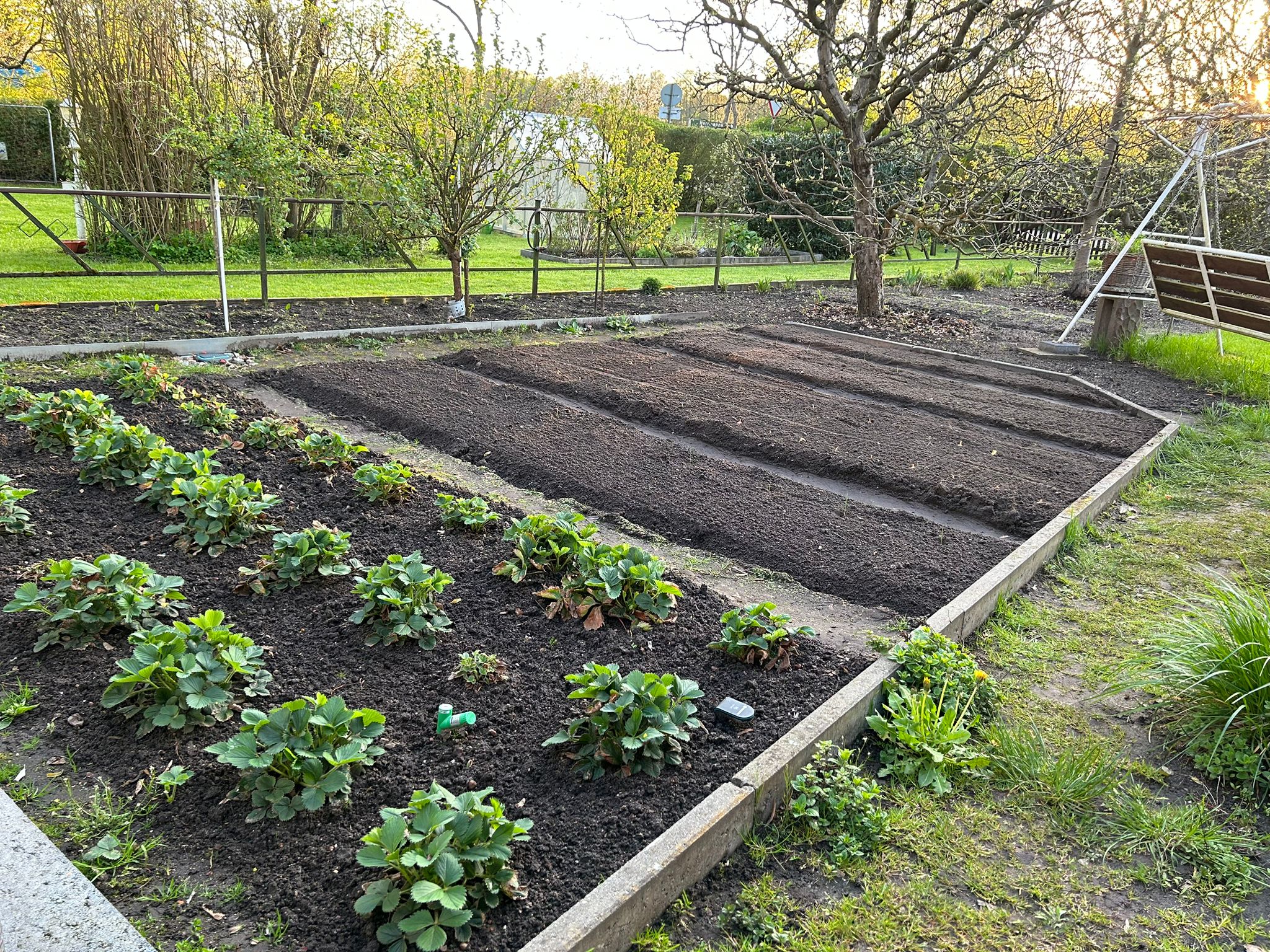 Fertiges Gemüsebeet vor dem Gewächshaus und nach der Aussaat
