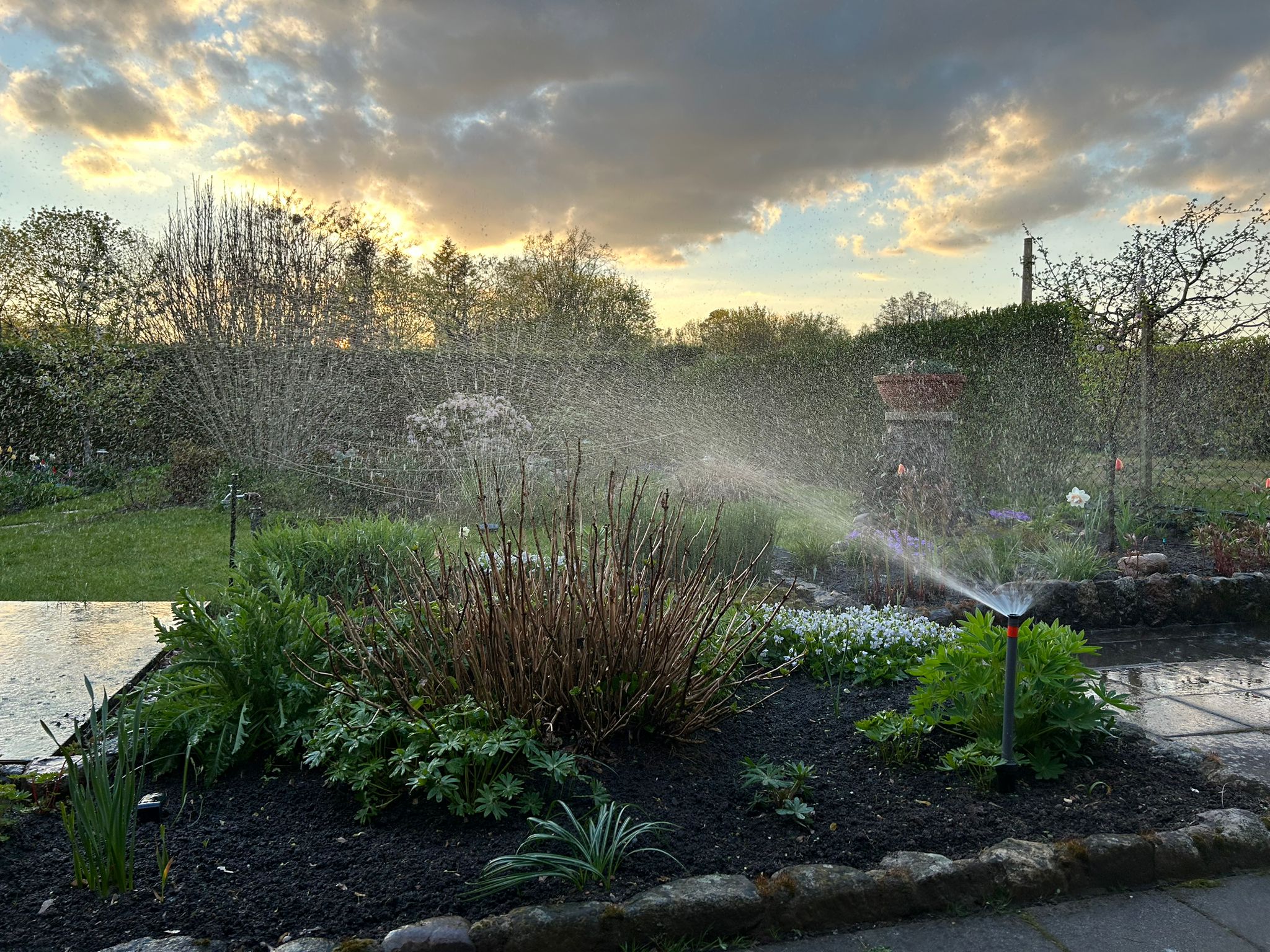 Sprühdüse und Flächenregner in Aktion