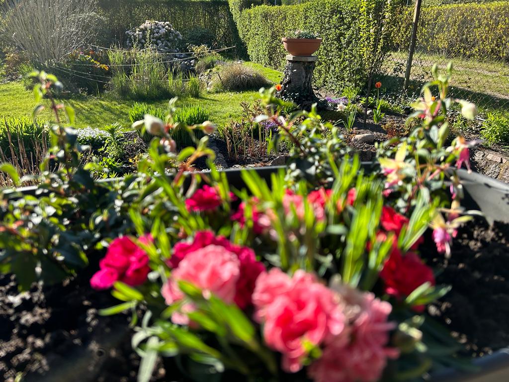 Ein Spiel mit den Farben mit Ausblick von der Terrasse in den Garten