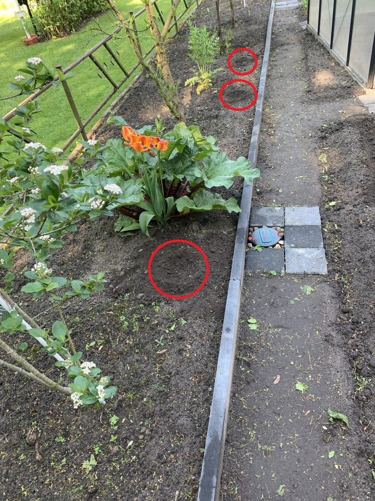 Saatstellen für den Kürbis