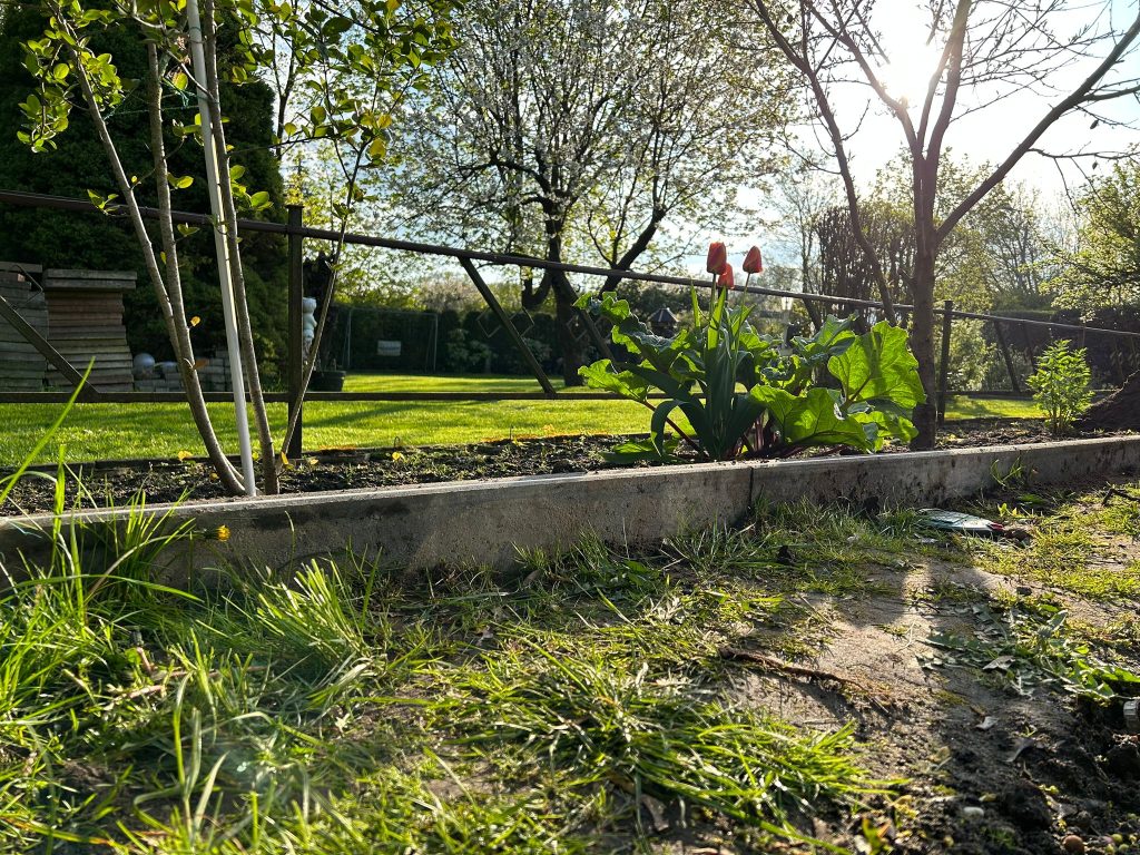 Der wunderschöne Rasen der Frau Nachbarin lenkt hier vom eigentlichen Thema ab...