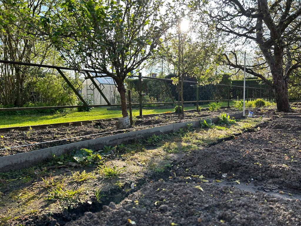 Alubleche trennen das Gemüsebeet vom Strauchbeet
