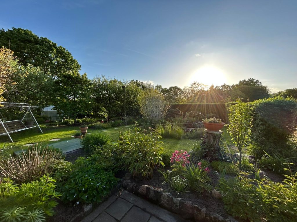 Blick vom Grillplatz in den Garten (Mai 2023)