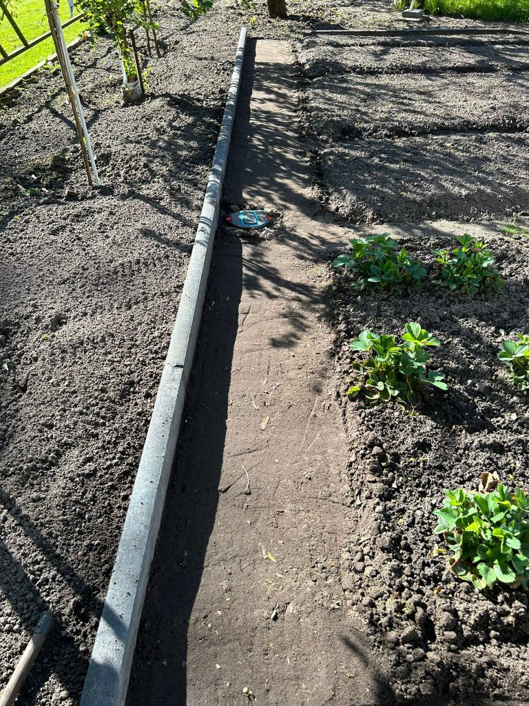 Durch die Rasenkantensteine entstehen klarere Strukturen