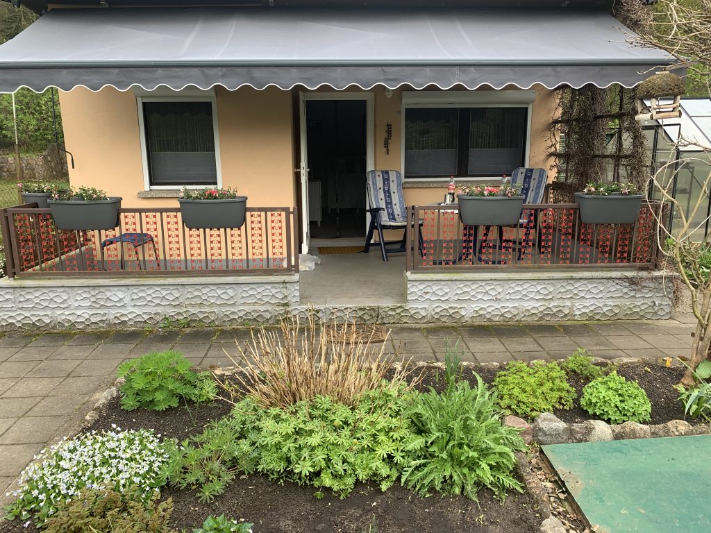 Kleine Pflänzchen in großen Kübeln - unsere diesjährige Terrassenbepflanzung