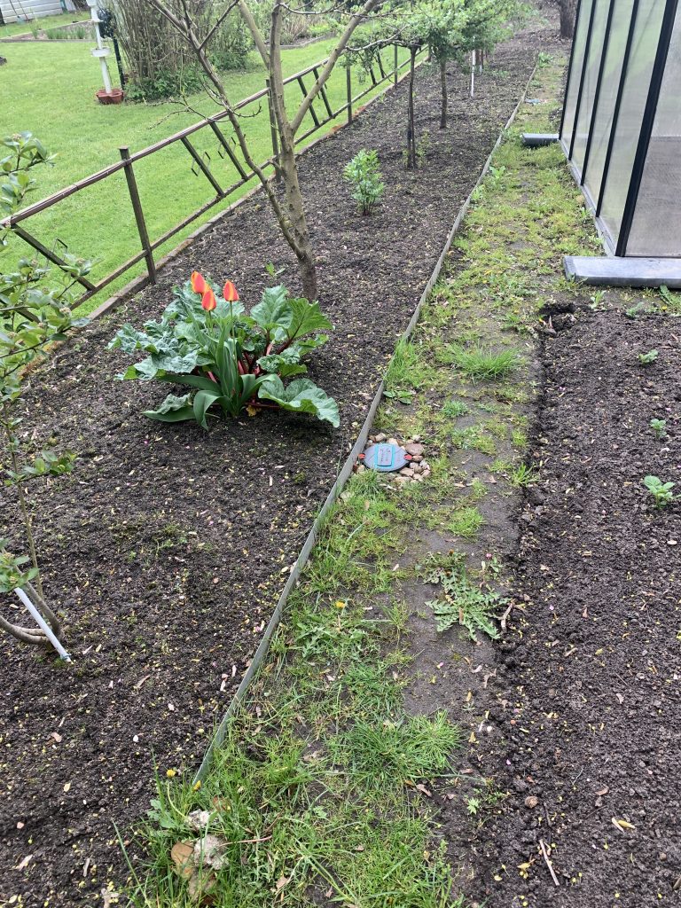 Grüner Weg entlang des Beerenbeets