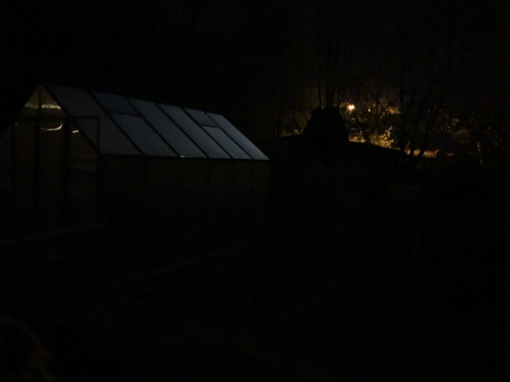 Hier muss man schon etwas genauer hinsehen:
Vom zunehmenden Mond angestrahltes Gewächshaus