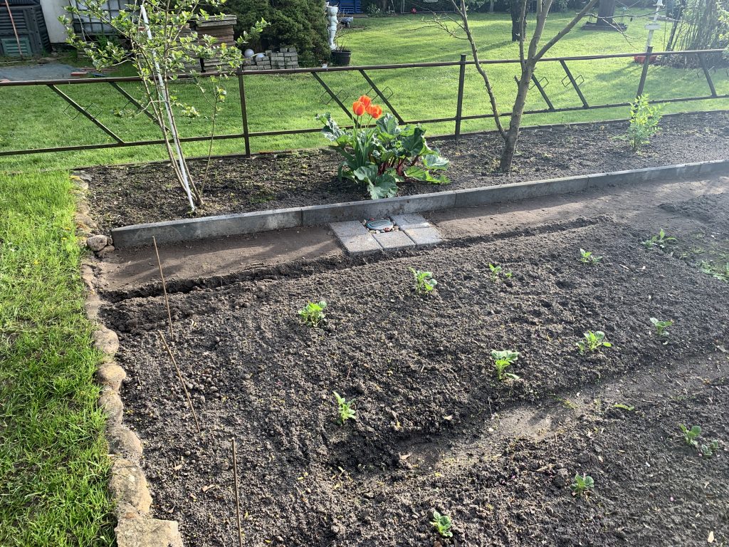 20x20cm Gehwegsteine, umgeben von Kiesel, schützen die Flächenregner vor größeren Verschmutzungen