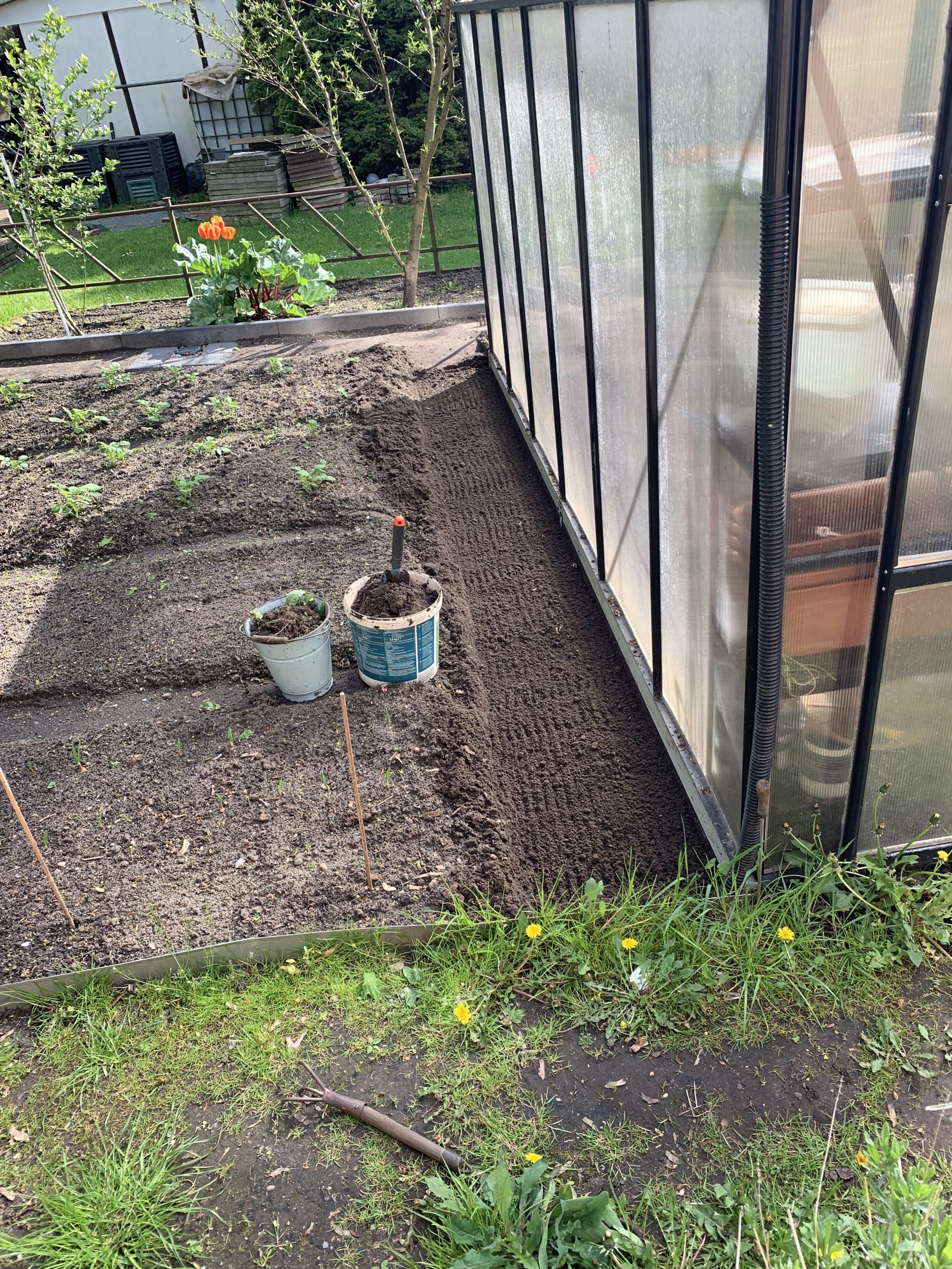 Umbuddeln, Meter für Meter das Unkraut entfernen und alles wieder einebnen