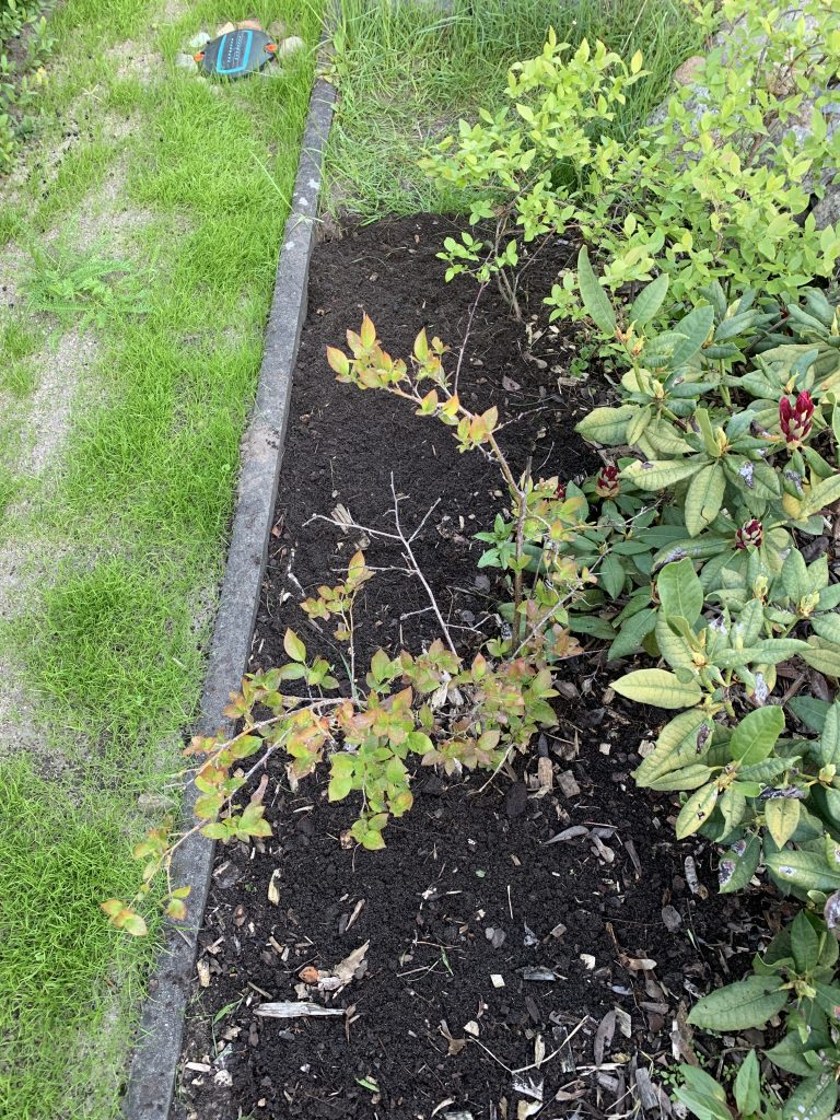 Es sind wieder klare Strukturen erkennbar