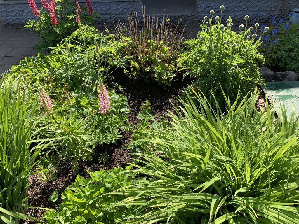 Mehr Platz für die anderen Pflanzen