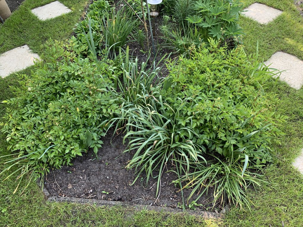 Vor zwei Monaten waren auf diesem Stückchen Land nur kahler Boden und ein paar blühende Pflänzchen