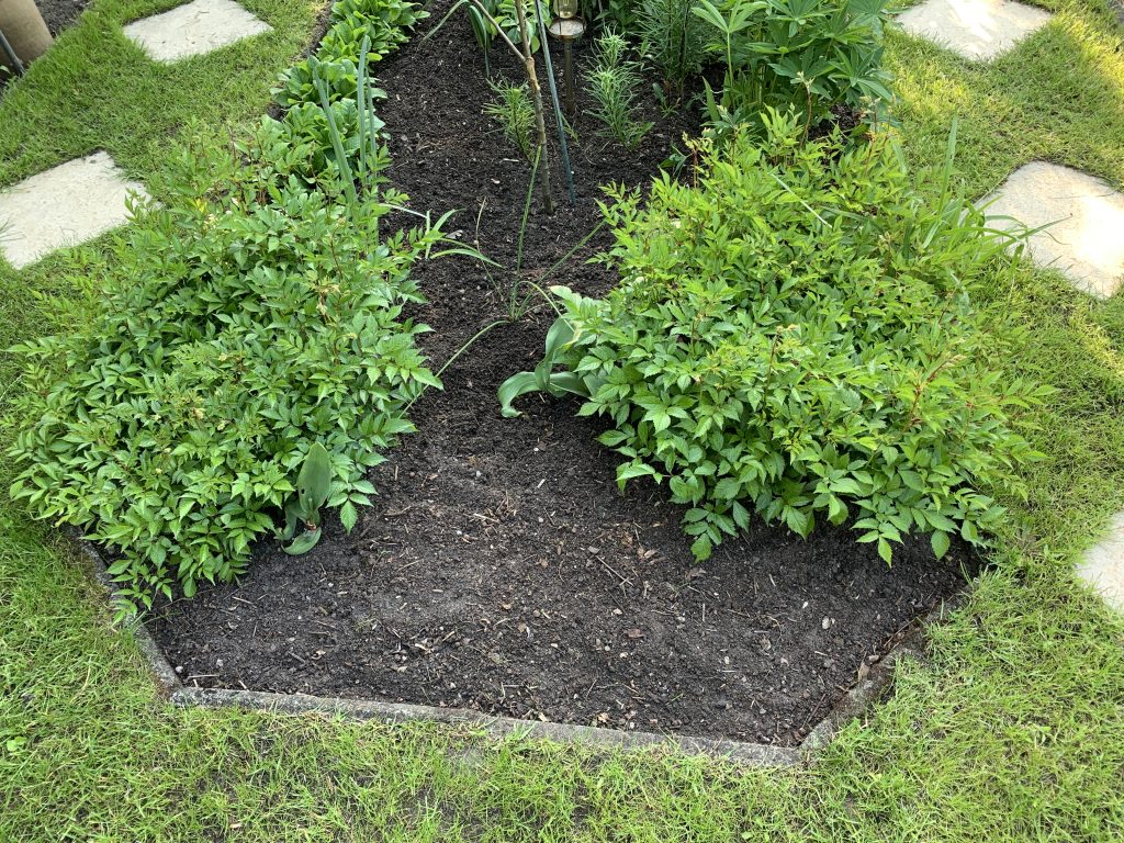 Bis auf wenige Ausnahmen wurde sämtliches Laub der Frühblüher entfernt