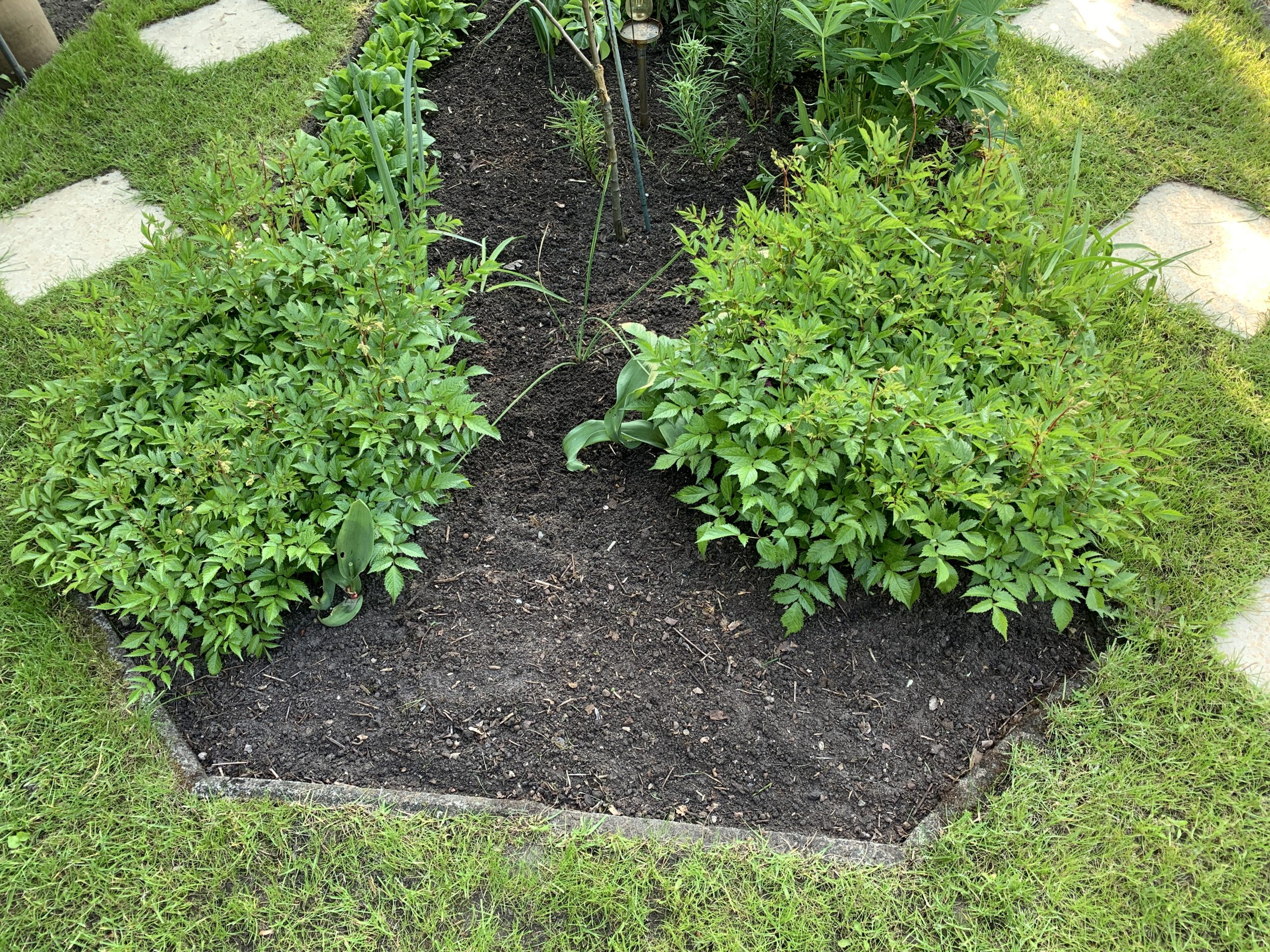 Bis auf wenige Ausnahmen wurde sämtliches Laub der Frühblüher entfernt