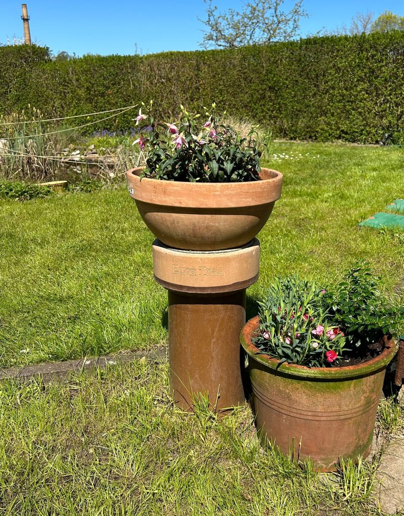 Bepflanzte Blumenkübel