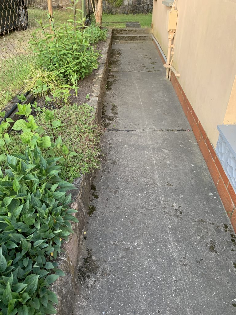 Randbeet (Einfahrt) am 2. Juni 2023