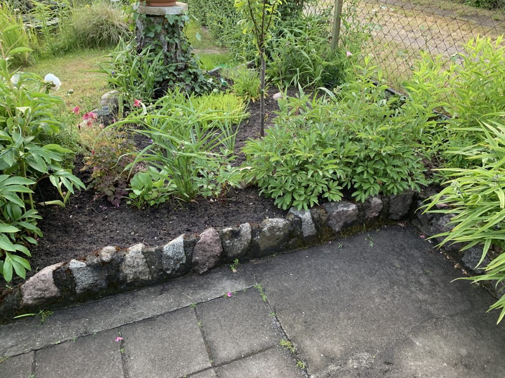 Staudenbeet am 2. Juni 2023