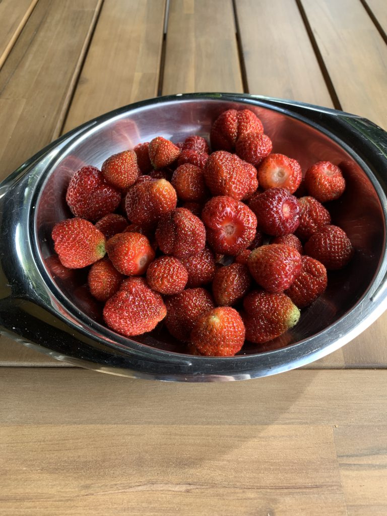 Eine Schale voll leckerer roter Früchte