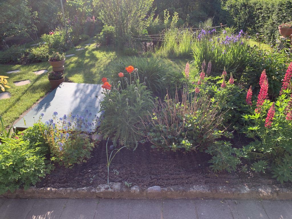 Beet vor unserer Terrasse 
(Aufnahme vom 30. Mai 2023)