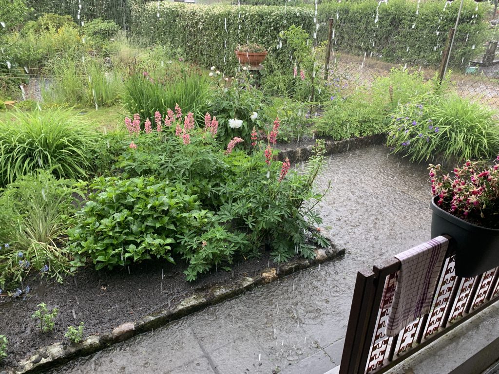 Gefluteter Grillplatz