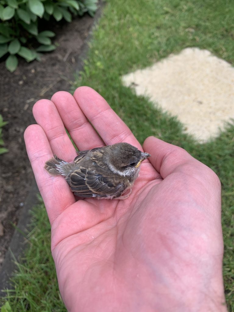 Von Schockstarre keine Spur: Der Kleine entdeckt die Welt aus einer für ihn neuen Perspektive