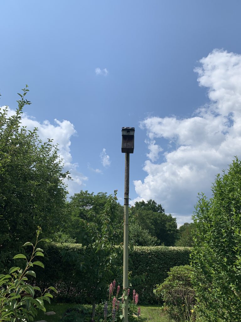 Brutstätte unserer Mitbewohner