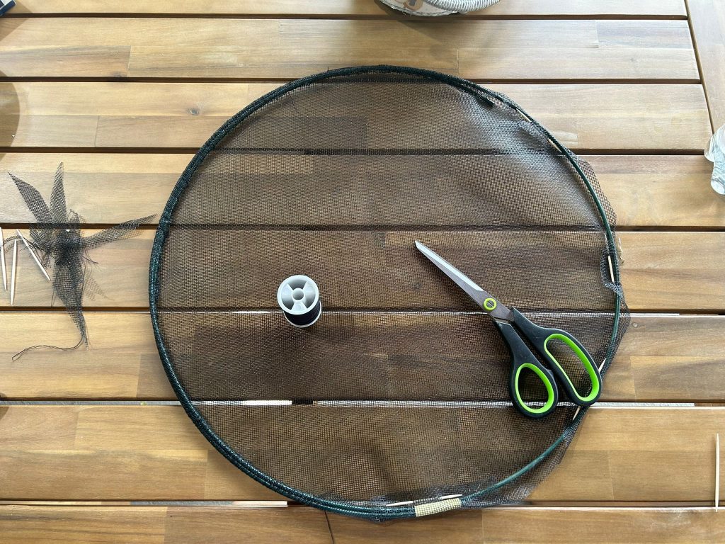 Die Anfänge sind gemacht