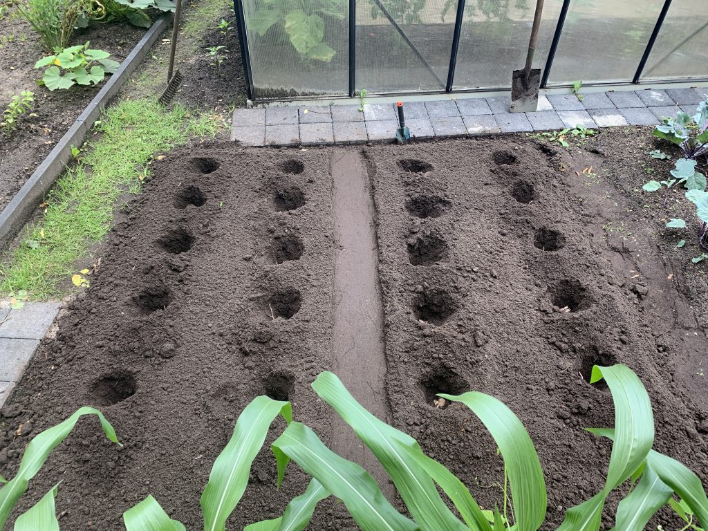 Vorbereitung des Kartoffelackers für das "Linda-Experiment"