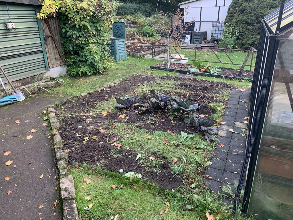 Mais und Stangenbohnen wurden dem Kompost zugefügt