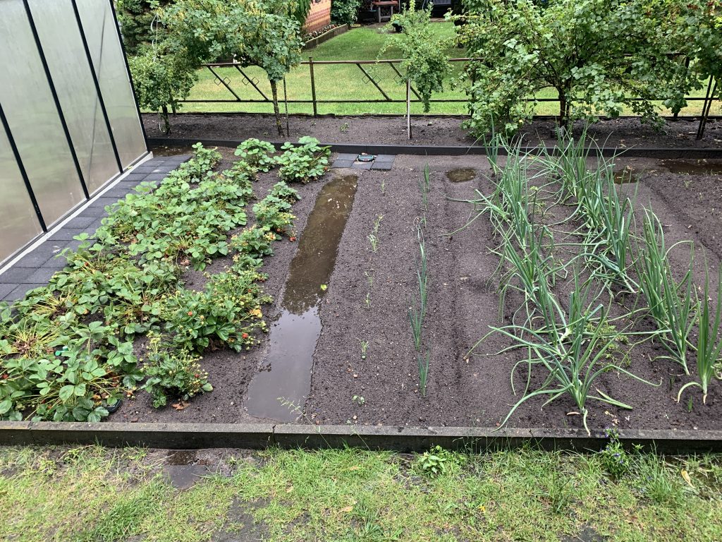 Oben im Bild sind die Beerensträucher vor der Radikalkur zu sehen