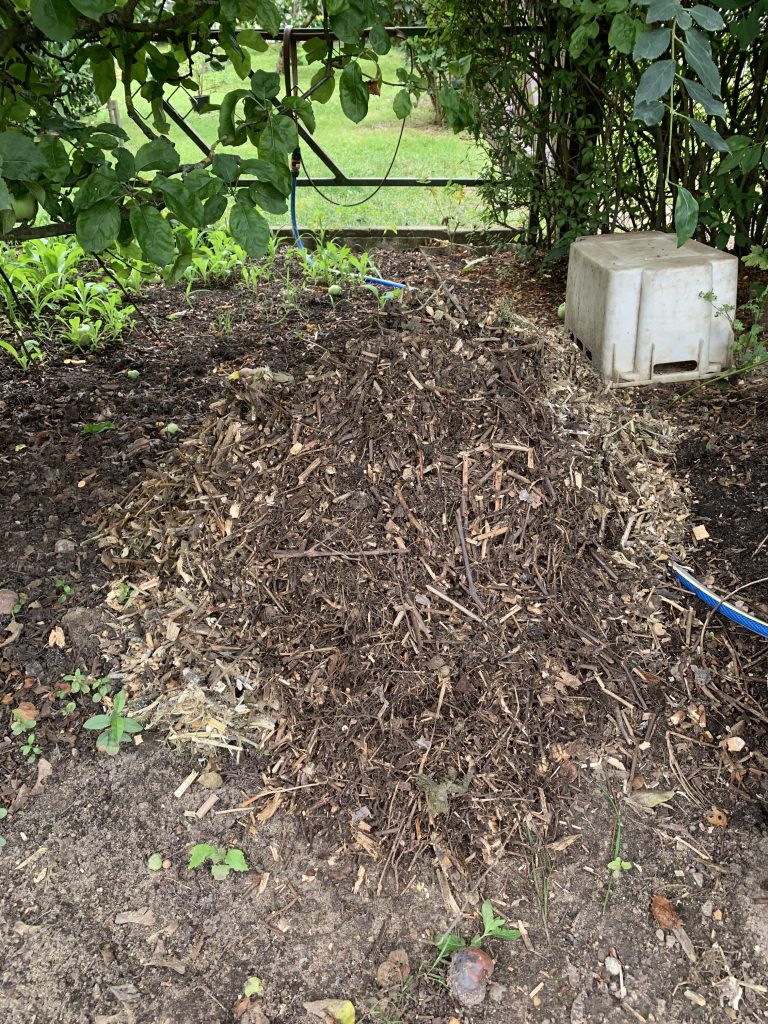 Sammelstelle für Gehäckseltes unterm Apfelbaum