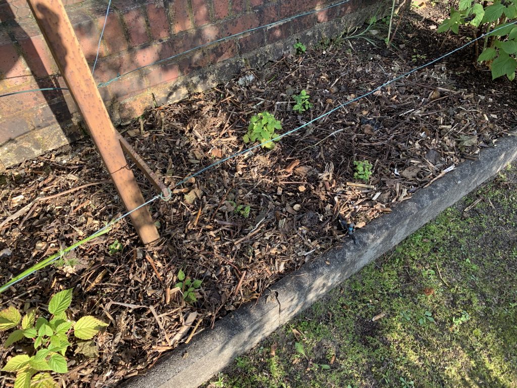 Seitdem wir das Zeug dort verteilt haben, wächst in diesem Bereich kein Unkraut mehr