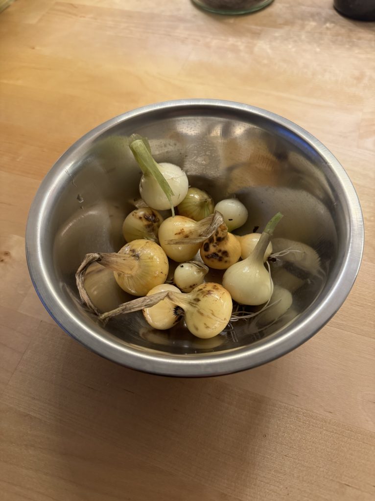 Die letzte Ernte in diesem Jahr: Eine Hand voll Zwiebeln