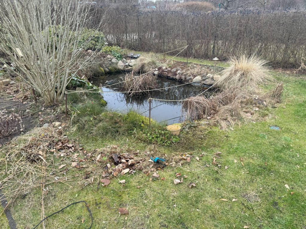 Erst durchharken ("kämmen"), abgestorbenes herausschneiden ("schneiden") und anschließend lufttrocknen lassen ("föhnen") - Beginn der Arbeiten am Gartenteich
