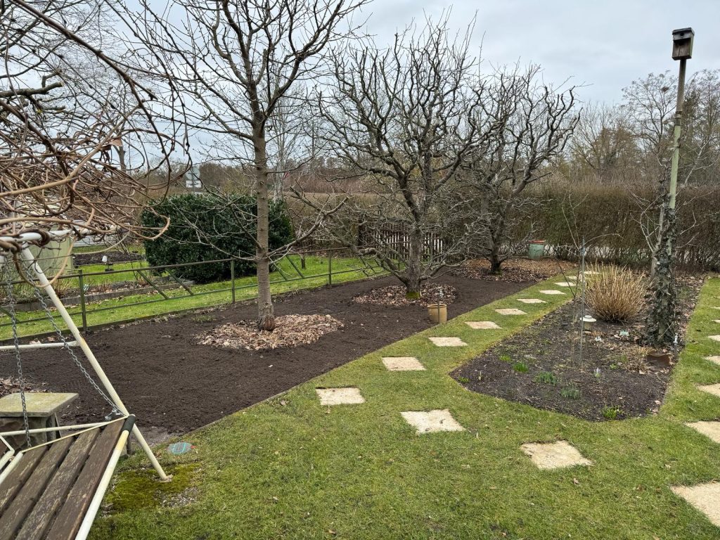 Alter Boden für alte Bäume