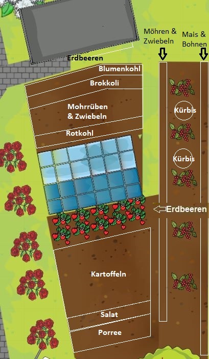 In diesem Jahr ist einiges anders - Gartenplanung 2024