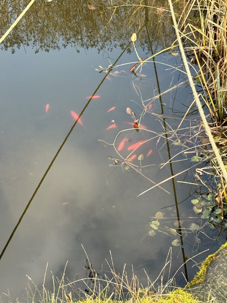 Winterschlaf ist anders