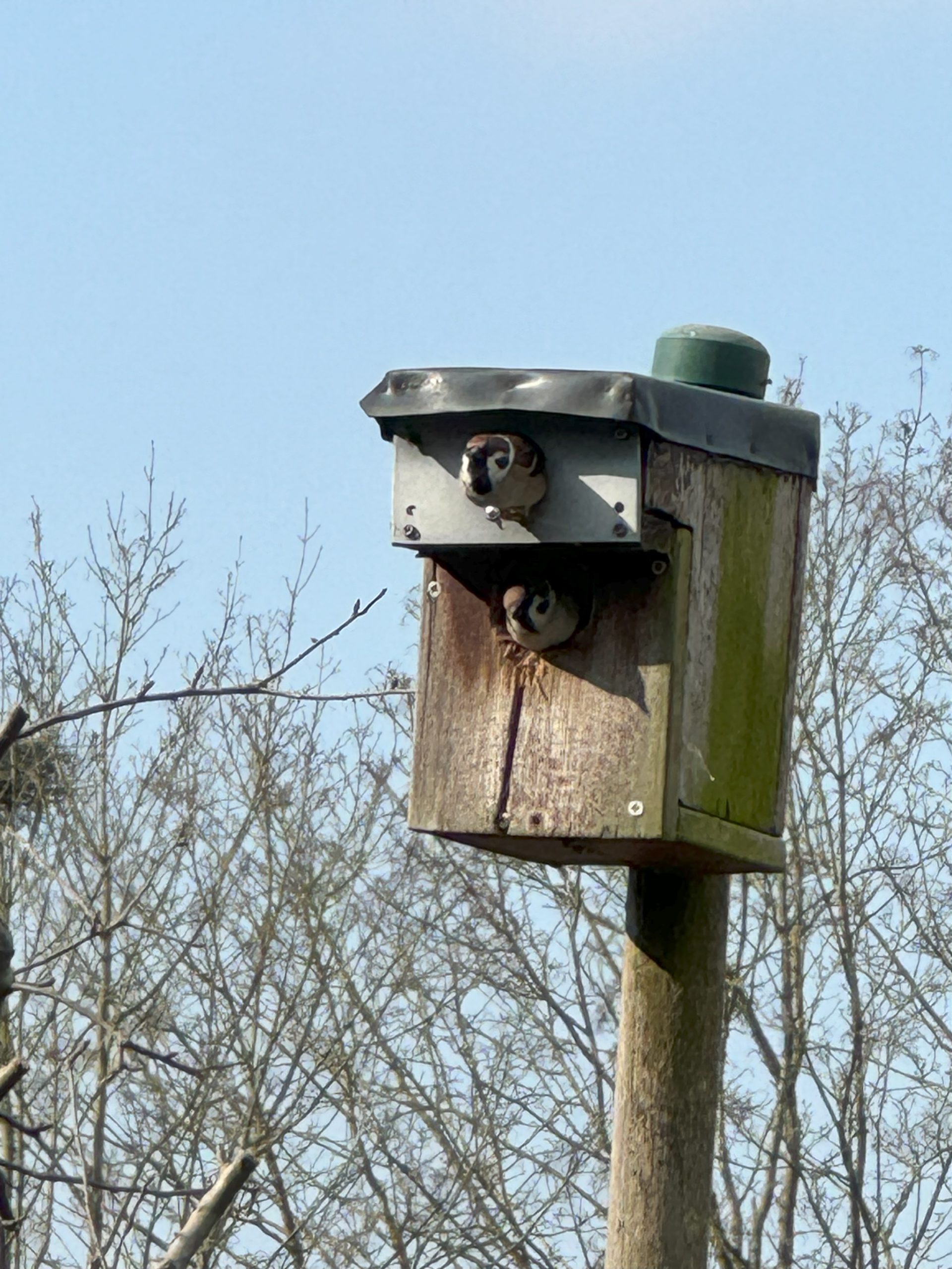 Damit es nicht zieht, werden beide Eingänge verstopft