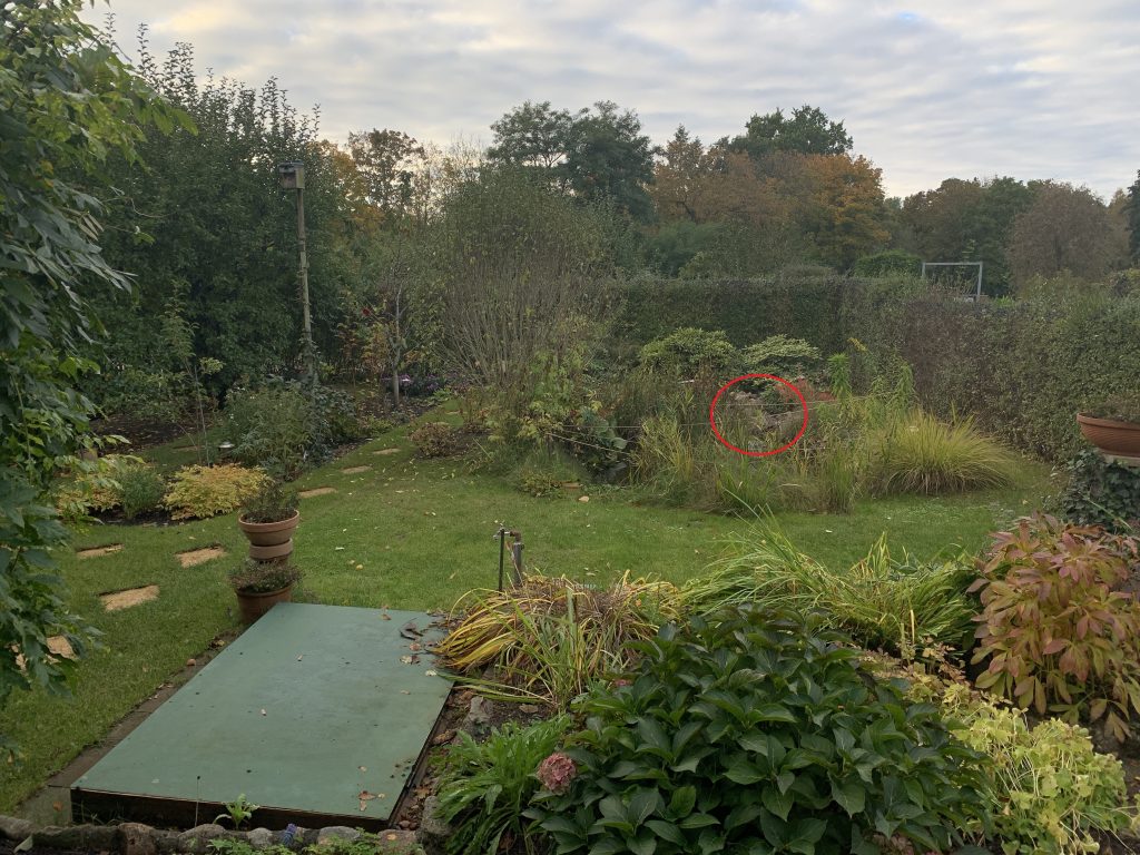 Blick von der Terrasse - rot eingekreist: Die Lage des Bachlaufs