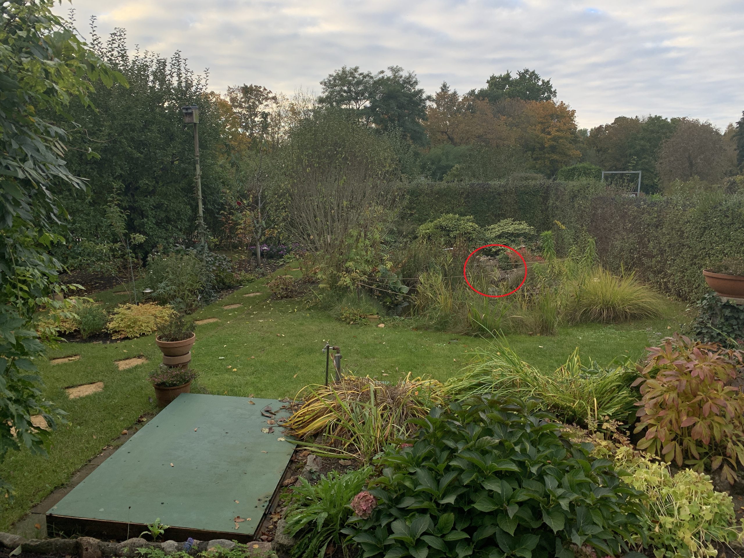 Blick von der Terrasse - rot eingekreist: Die Lage des Bachlaufs