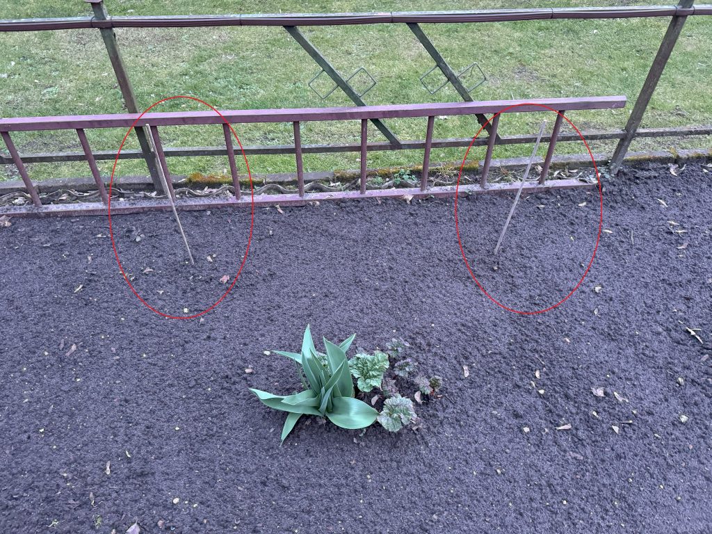 Da in einer Woche Ostern ist, haben wir in diesem Bild zwei Ostereier versteckt:
Der Rhabarber bekommt Gesellschaft