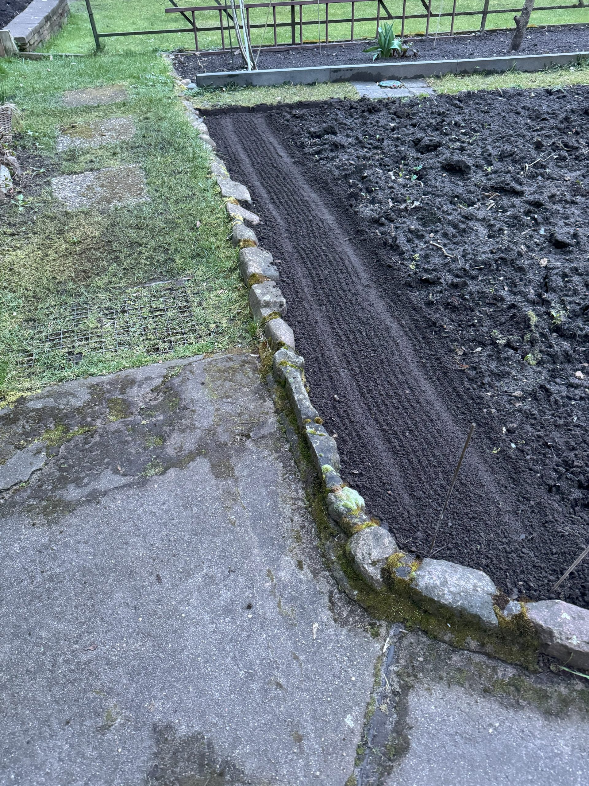 Bei diesem Bild kommt ein wenig "Schulgarten-Feeling" auf.