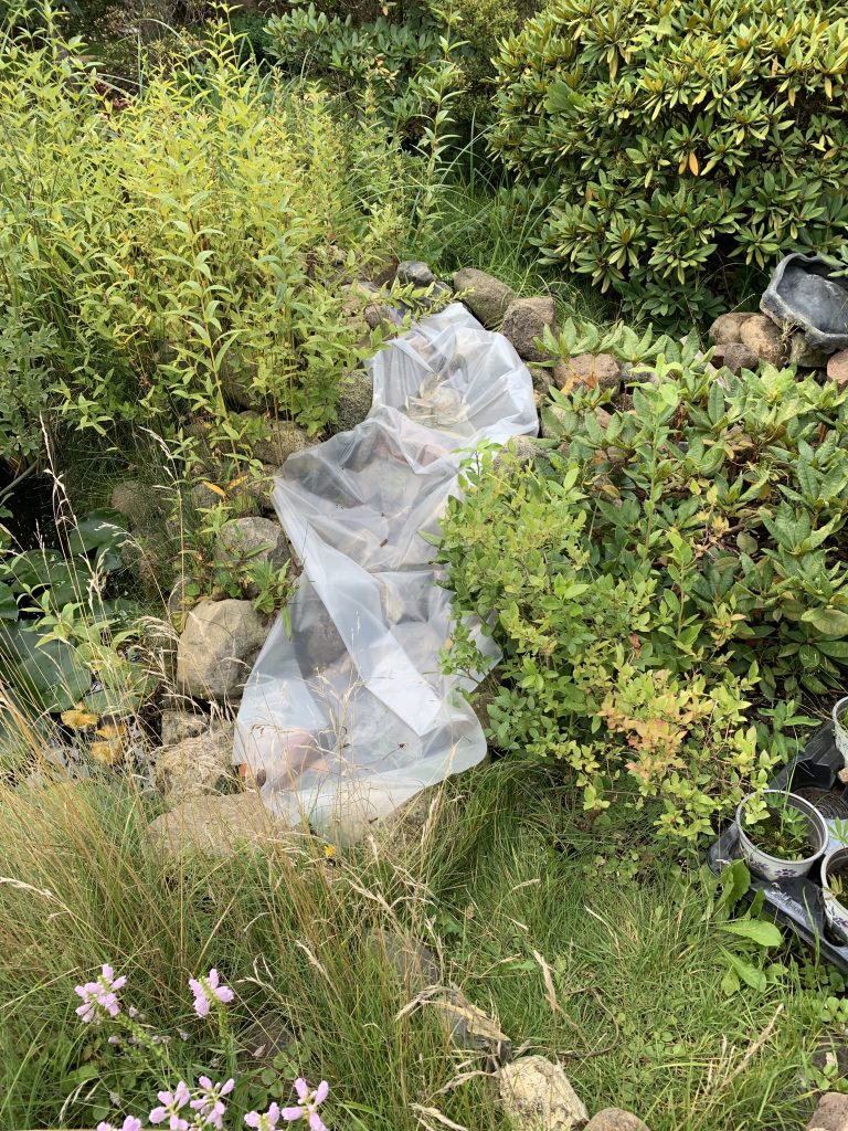 Archivbild vom August 2023
Ausgelegte Folie markiert den zukünftigen Verlauf des Baches